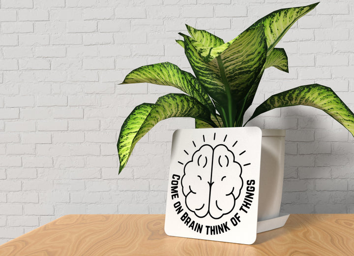Come On Brain Think Of Things | Funny Sign for Home or Office