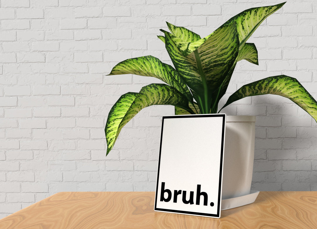 Bruh | Funny sign For Home or Office