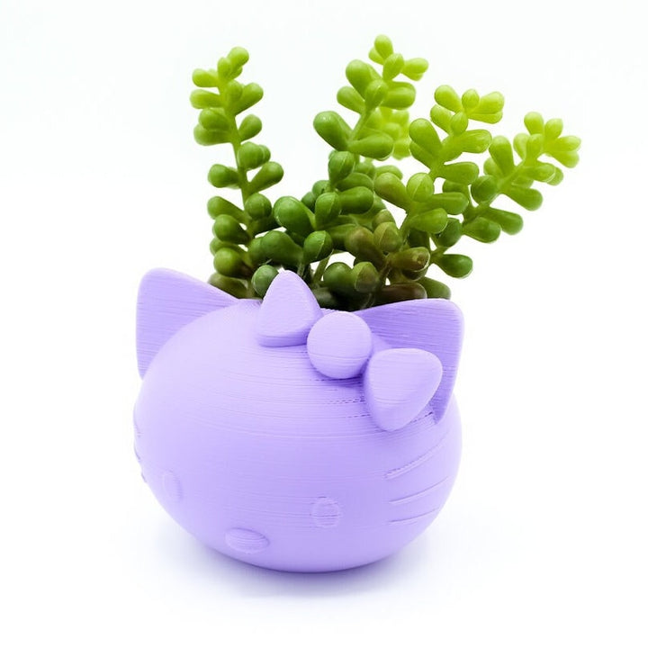 Hello Kitty Cat Kitten Succulent Planter Vase