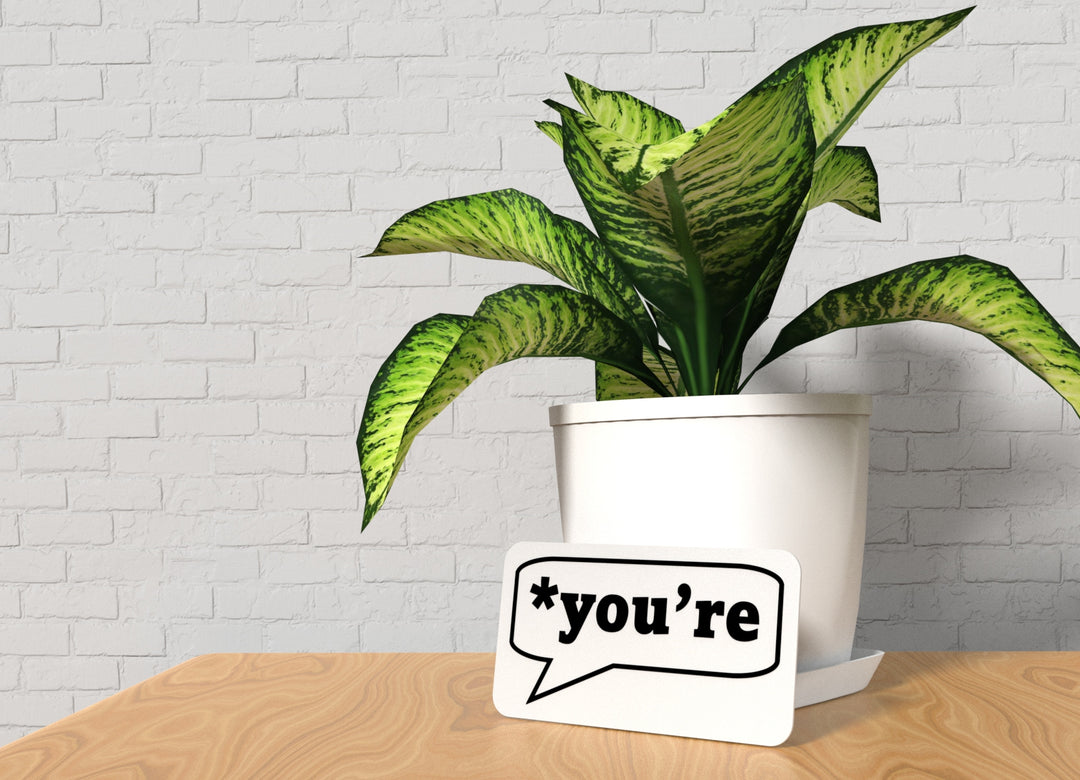 You're | Funny Sign for Home or Office