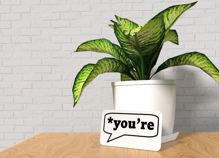 You're | Funny Sign for Home or Office