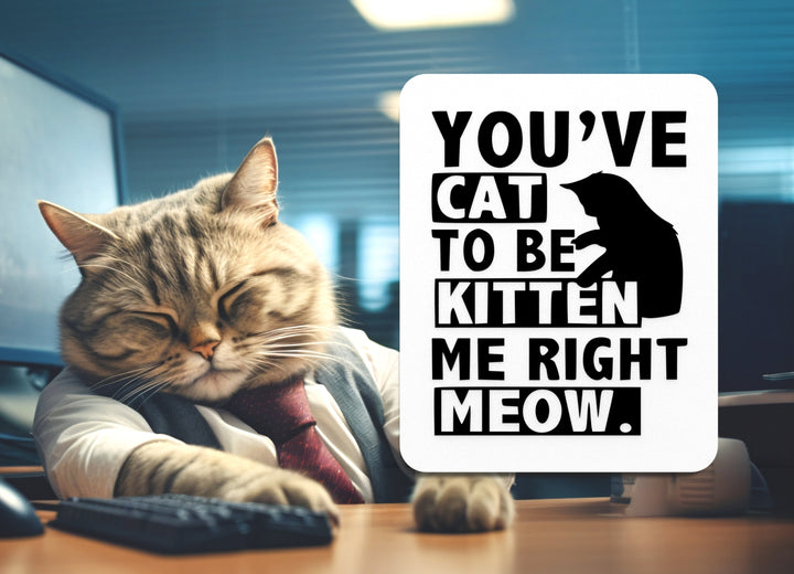 You've Cat To Be Kitten Me Right Meow | Funny sign For Home or Office
