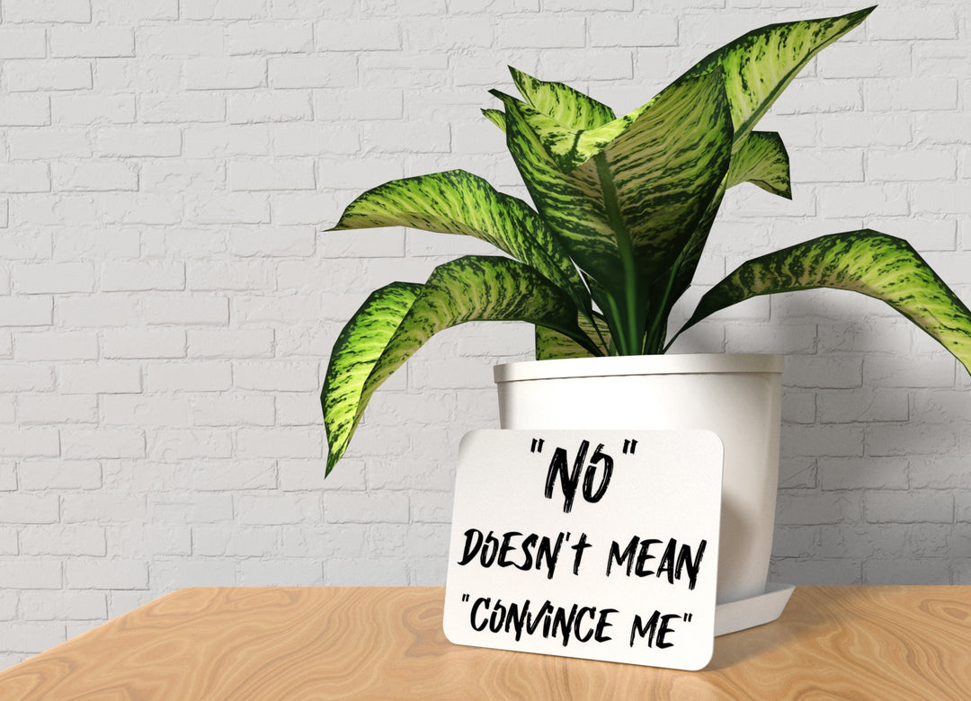 No Doesn't Mean Convince Me | Funny Sign for Home or Office