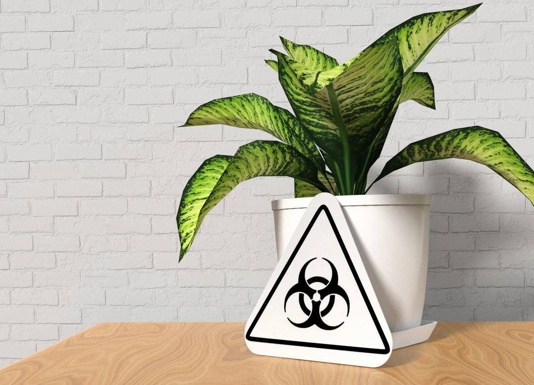 Three Triangle | Funny Sign for Home or Office