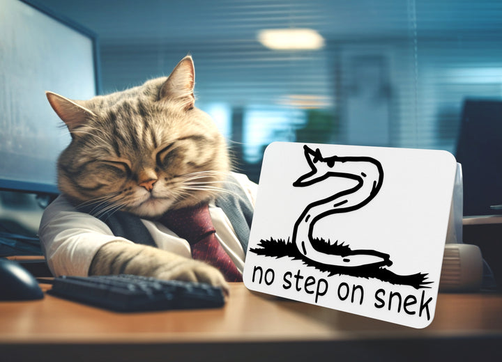 No Step On Snek | Funny sign For Home or Office