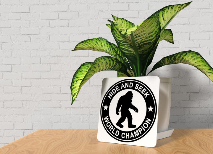 Hide And Seek World Champion | Funny sign For Home or Office