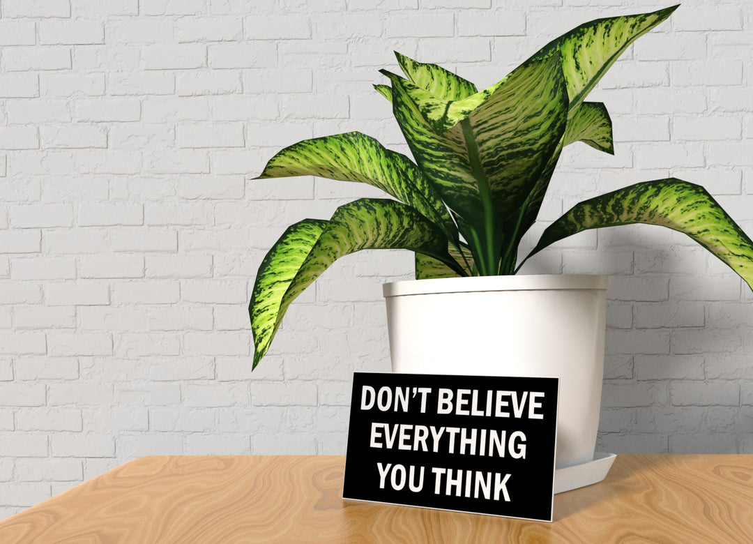 Don't Believe Everything You Think | Funny Sign for Home or Office