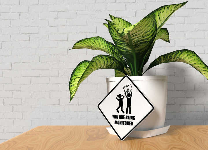 You Are Being Monitored | Funny Sign for Home or Office