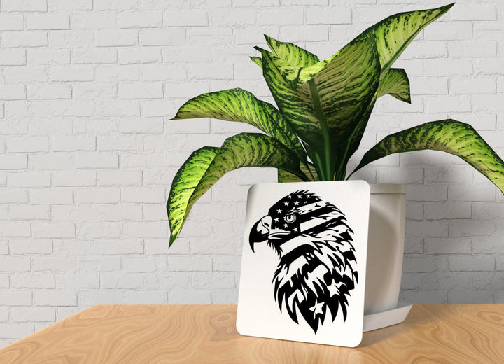 USA Eagle | Funny sign For Home or Office