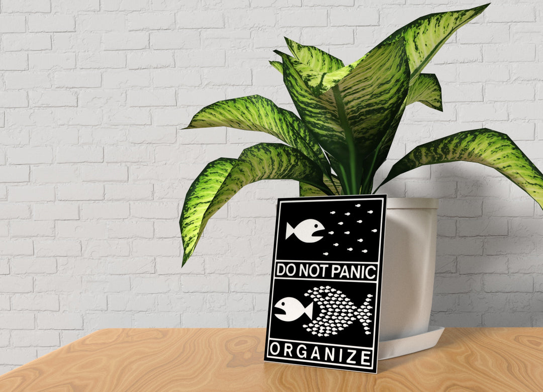 Do Not Panic Organize | Funny Sign for Home or Office
