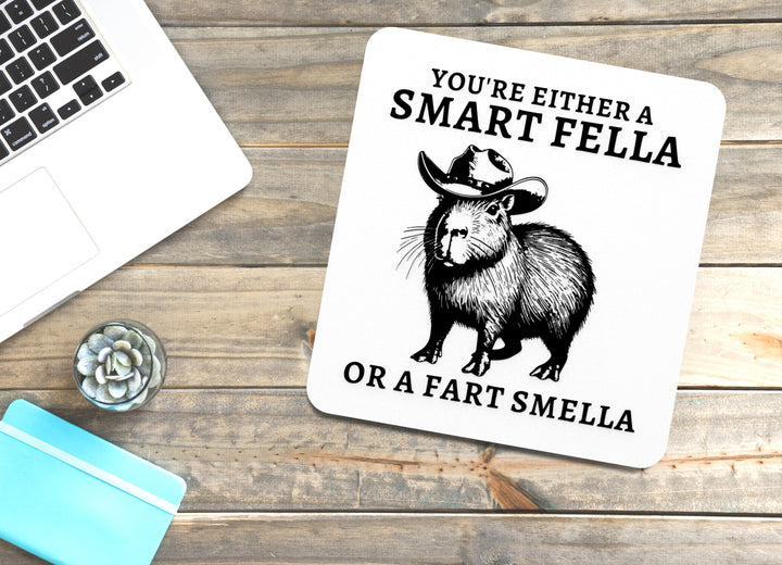 You're Either A Smart Fella Or A Fart Smella | Funny sign For Home or Office