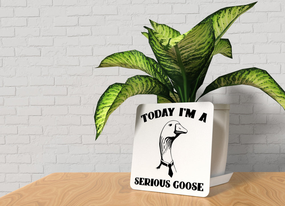 
  
  Today I Am a Serious Goose | Funny Sign for Home or Classroom Decor
  
