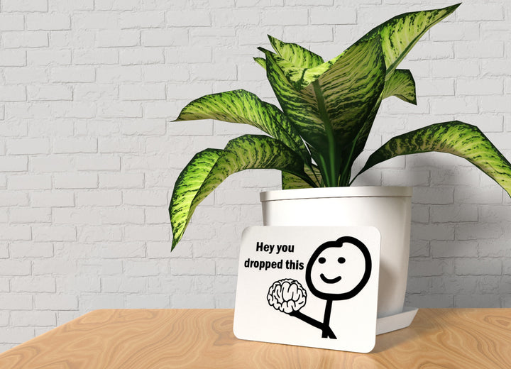 Hey You Dropped This | Funny Sign for Home or Office