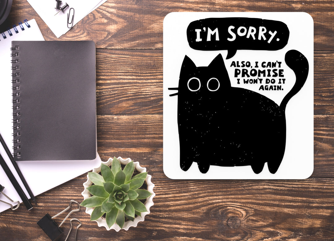 I'm Sorry Also I Can't Promise I Won't Do It Again | Funny Sign for Home or Office