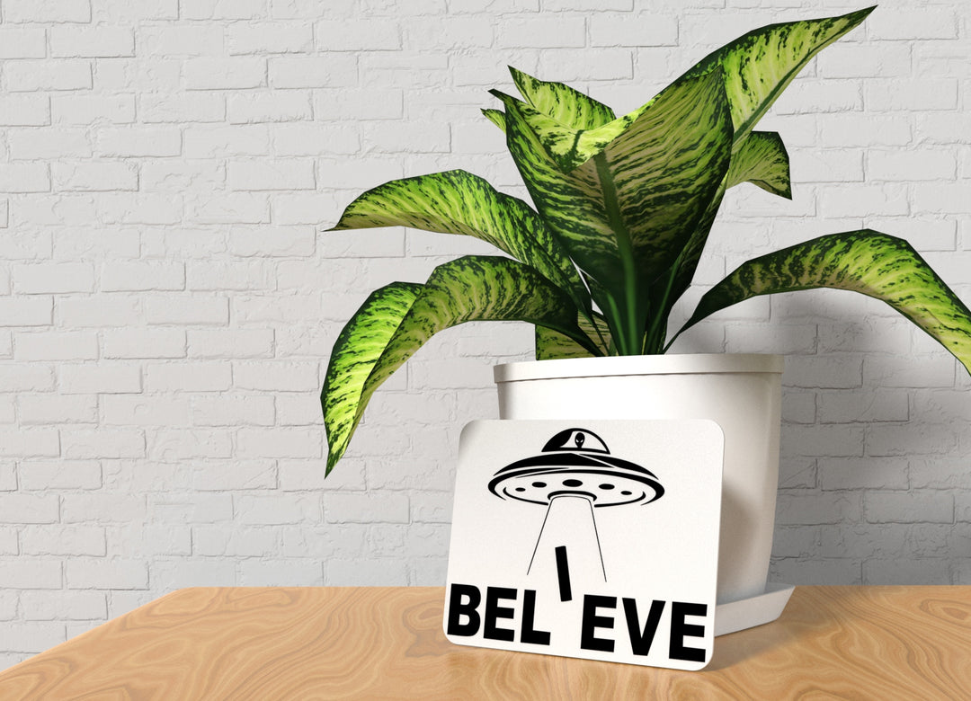 Believe Astronaut | Funny Sign for Home or Office