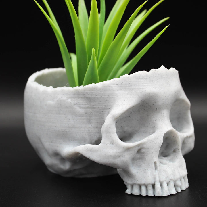 Real Looking Skull Succulent Planter | Macabre Elegance for Your Greenery