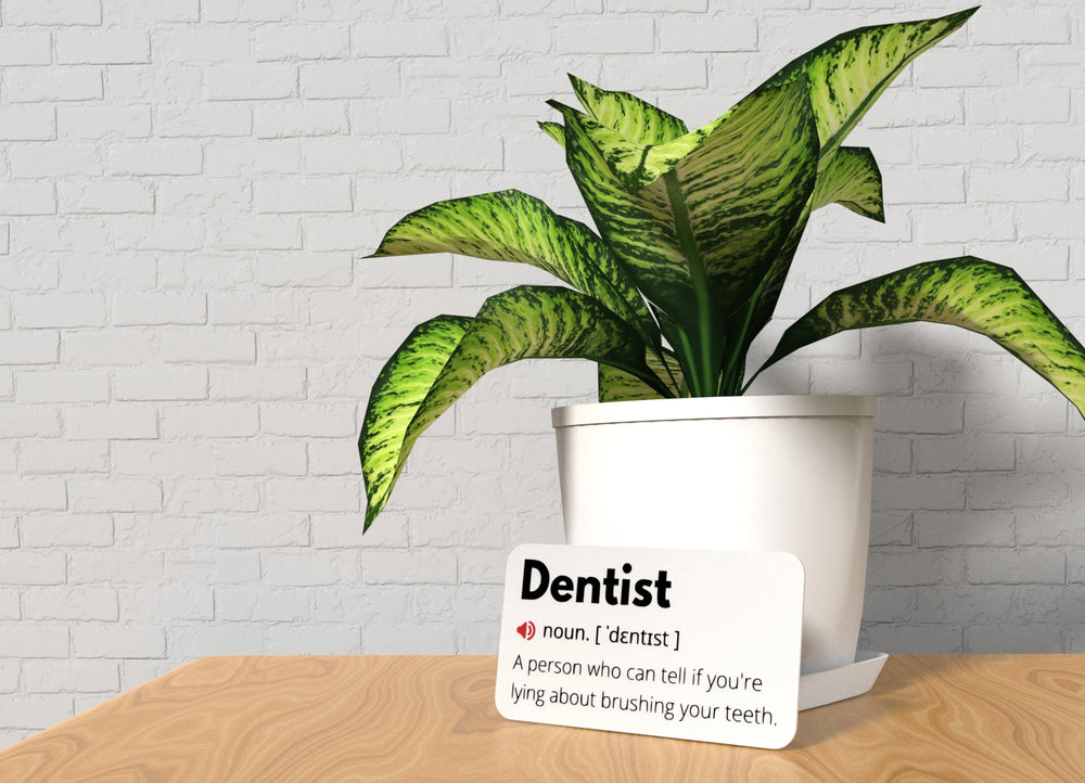 
  
  Dentist | Funny Sign for Office or Tooth-Loving Decor
  
