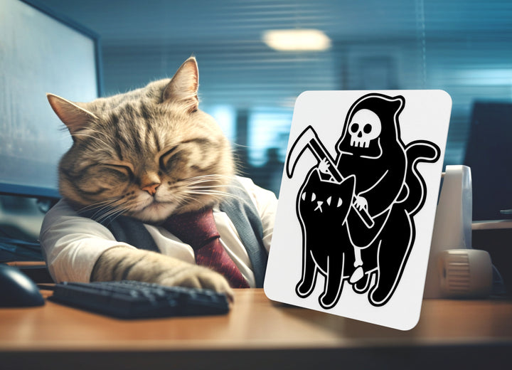 Black Cat | Funny sign For Home or Office