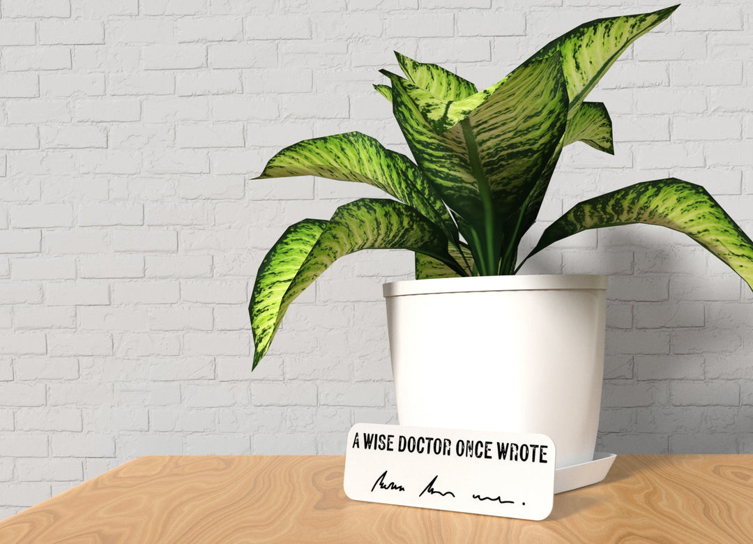 A Wise Doctor Once Wrote | Funny sign For Home or Office