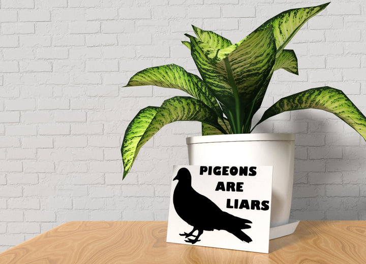 Pigeons Are Liars | Funny sign For Home or Office