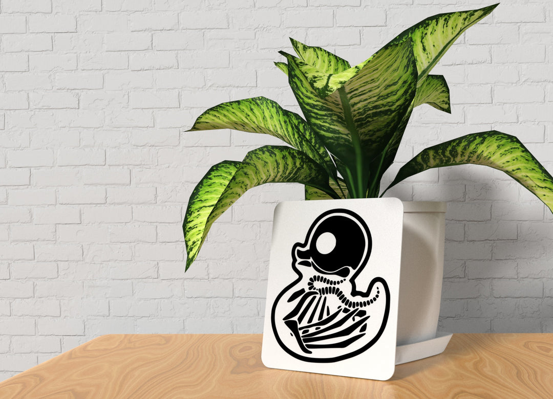 Ducky | Funny sign For Home or Office