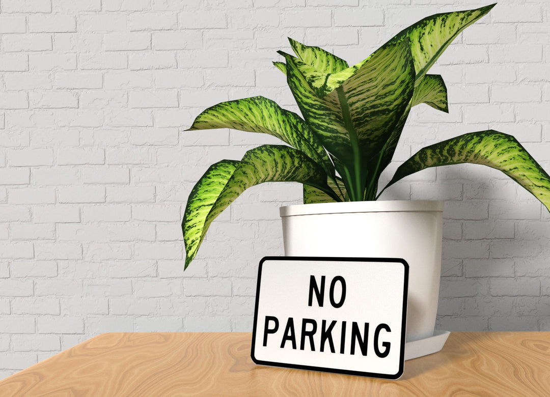 No Parking | Funny Sign for Home or Office