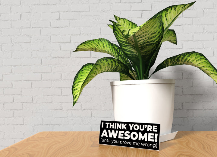 I Think You're Awesome | Funny sign For Home or Office