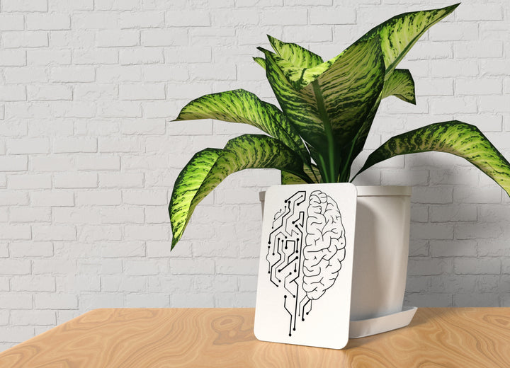 Brain | Funny Sign for Home or Office