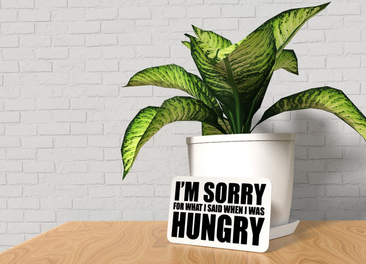 I'm Sorry For What I Said When I Was Hungry | Funny Sign for Home or Office