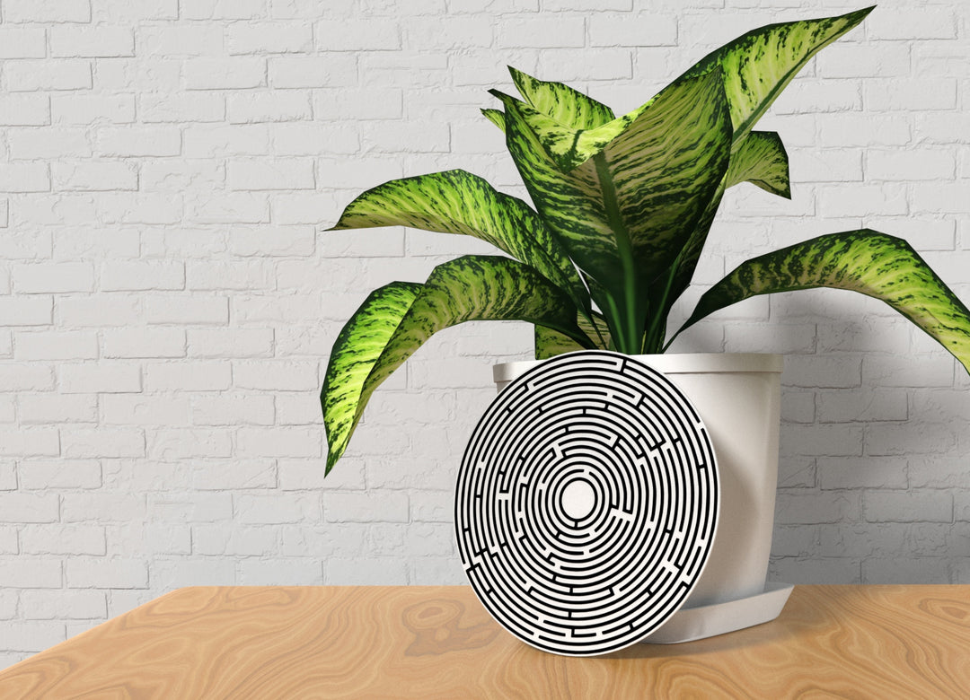 Maze | Funny sign For Home or Office