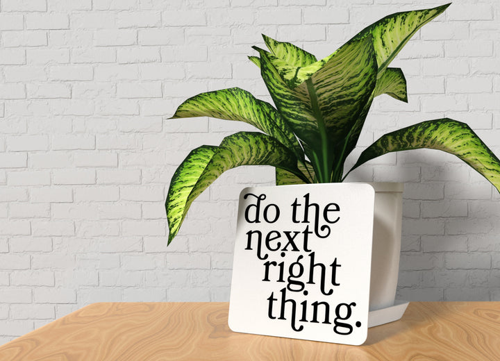 Do The Next Right Thing | Funny Sign for Home or Office