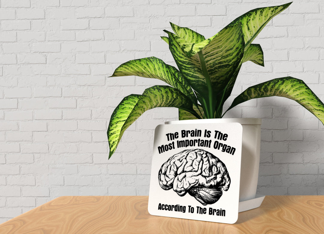 The Brain Is The Most Important Organ | Funny sign For Home or Office