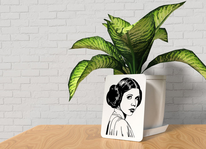 Woman | Funny sign For Home or Office