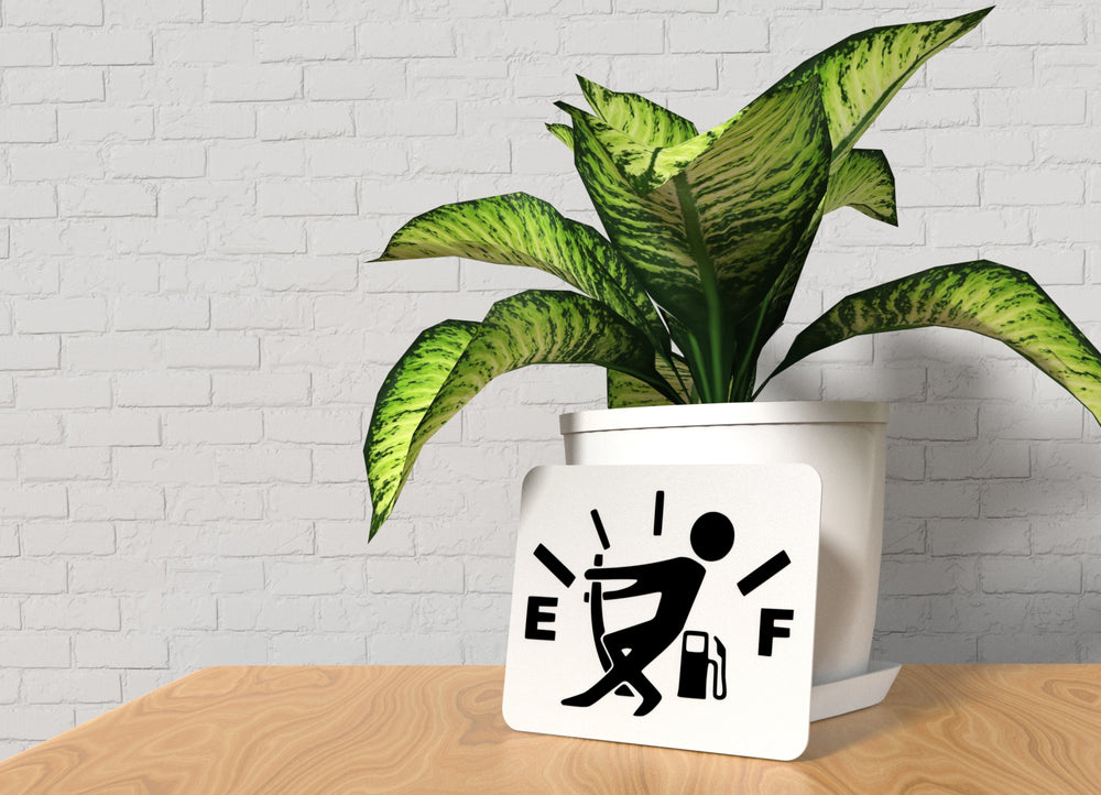 
  
  Elllf | Funny Sign for Holiday Mischief & Shelf Shenanigans
  
