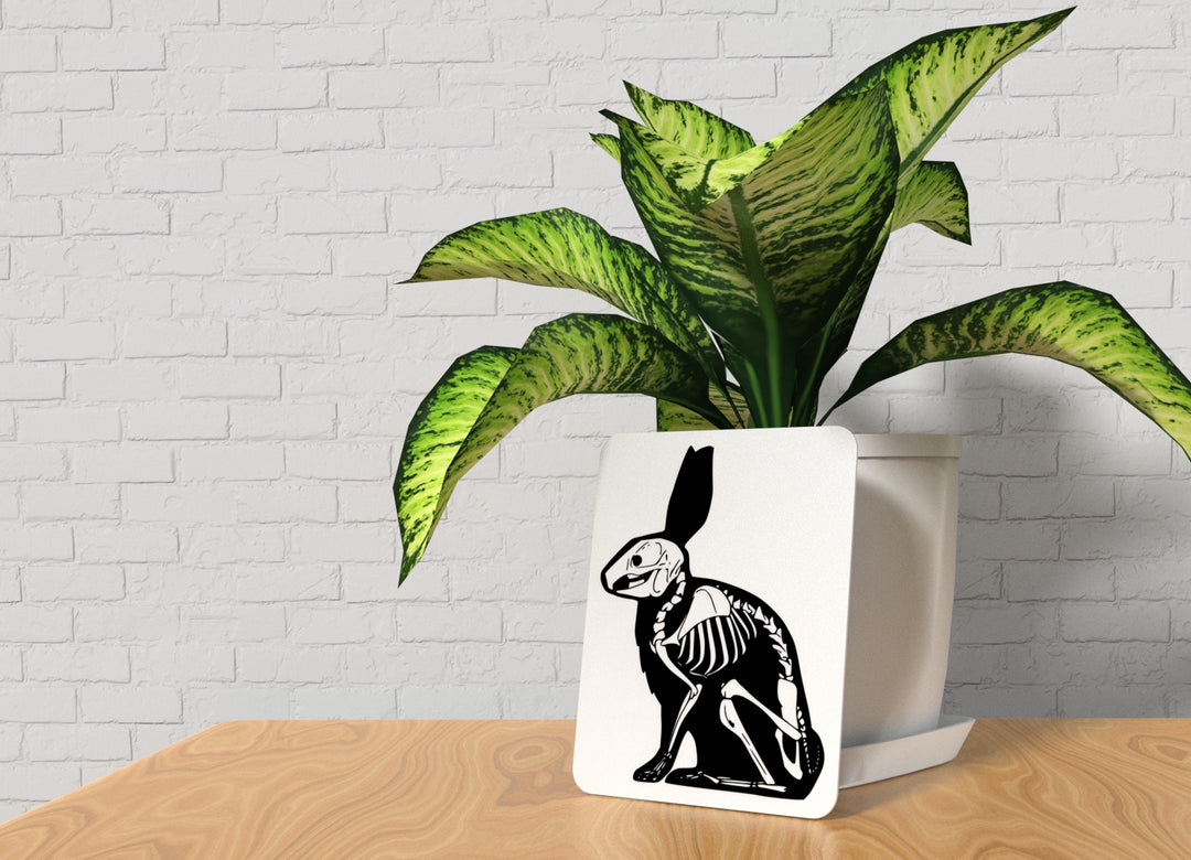 Rabbit | Funny sign For Home or Office