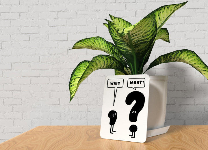 Wait And What | Funny sign For Home or Office