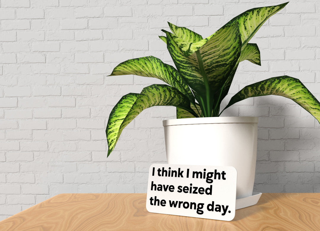 I Think I Might Have Seized The Wrong Day | Funny Sign for Home or Office