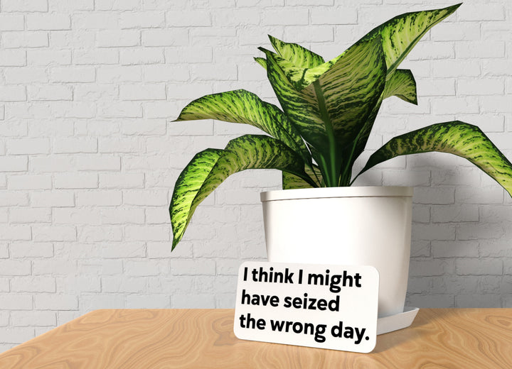 I Think I Might Have Seized The Wrong Day | Funny Sign for Home or Office