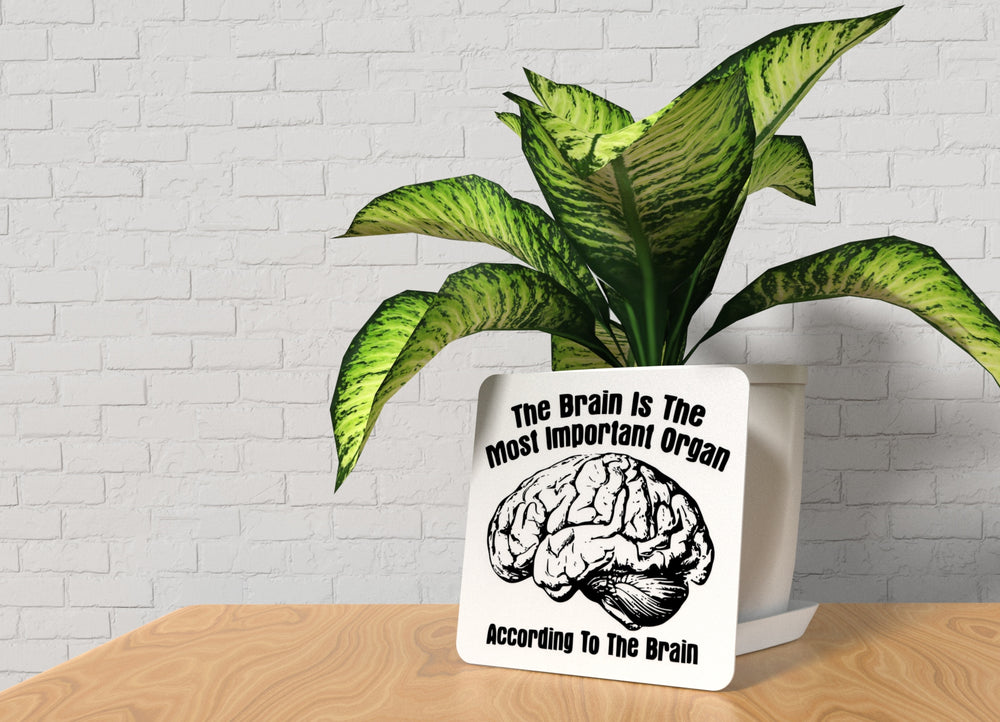 
  
  According to the Brain | Funny Sign for Home or Classroom Decor
  
