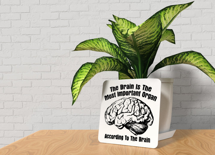 According to the Brain | Funny Sign for Home or Classroom Decor