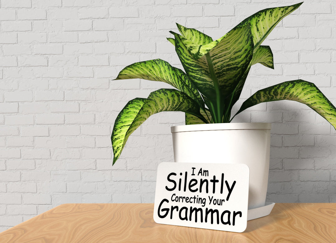 I Am Silently Correcting Your Grammar | Funny sign For Home or Office
