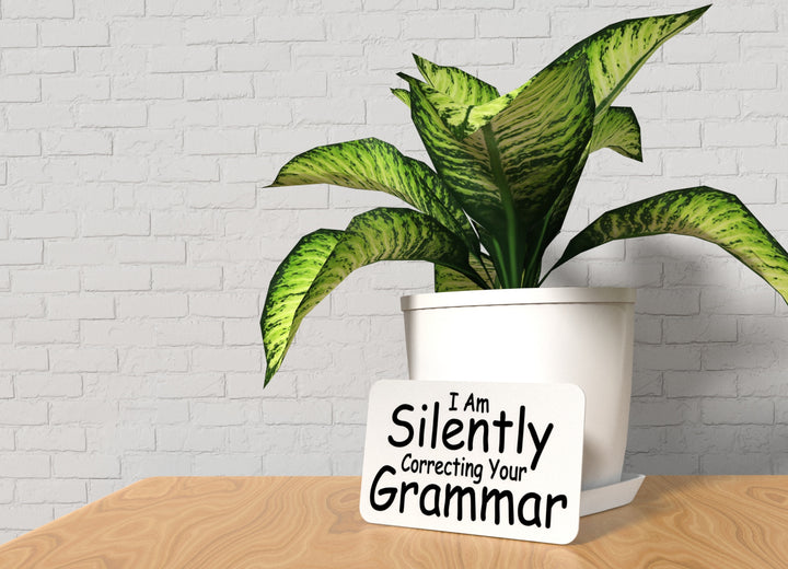 I Am Silently Correcting Your Grammar | Funny sign For Home or Office