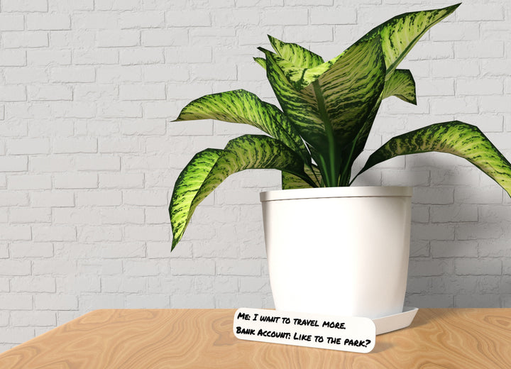 Me I Want To Travel More Bank Account Like To The Park | Funny Sign for Home or Office