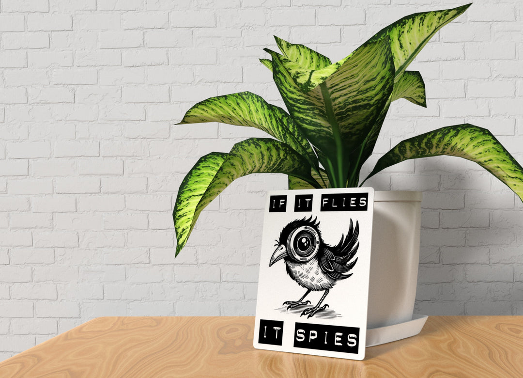 If It Flies It Spies | Funny Sign for Home or Office