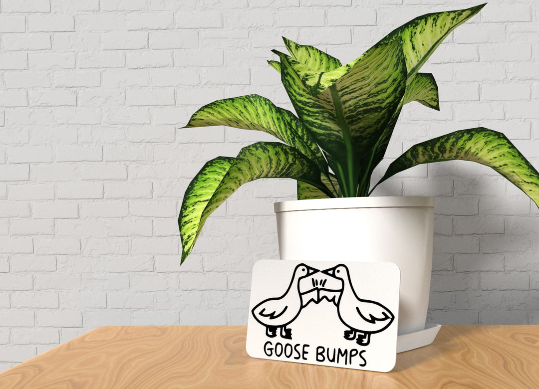 Goose Bumps | Funny sign For Home or Office