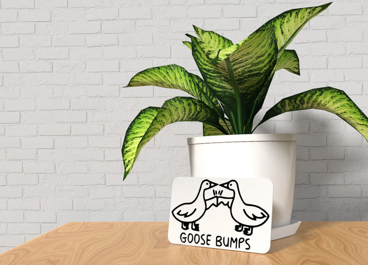 Goose Bumps | Funny sign For Home or Office