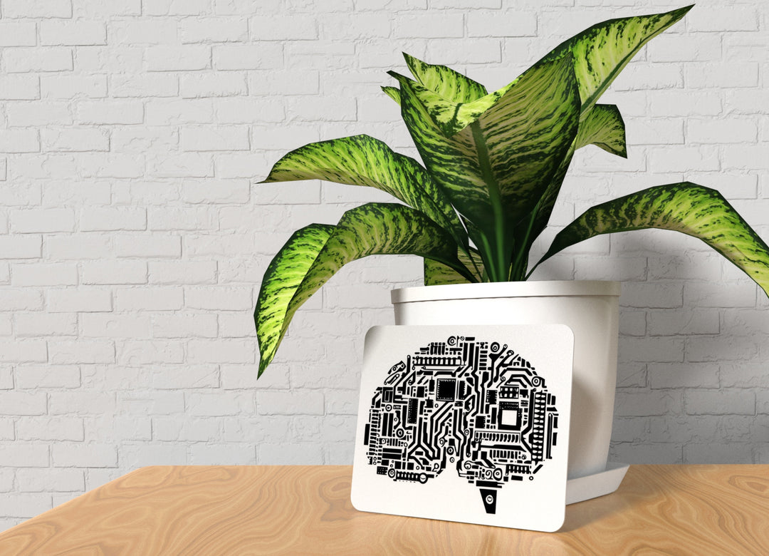 Brain Board | Funny Sign for Home or Office