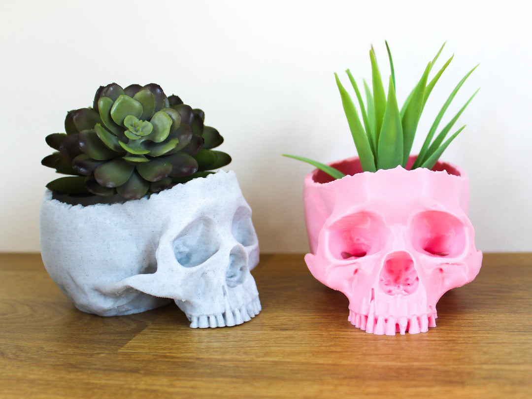 Real Looking Skull Succulent Planter | Macabre Elegance for Your Greenery