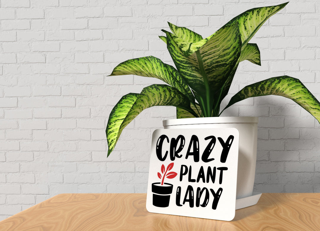 Crazy Plant Lady | Funny sign For Home or Office