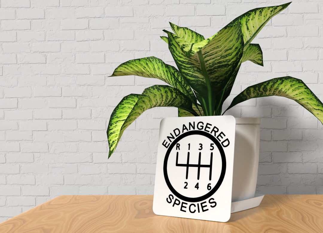 Endangered Species | Funny Sign for Home or Office